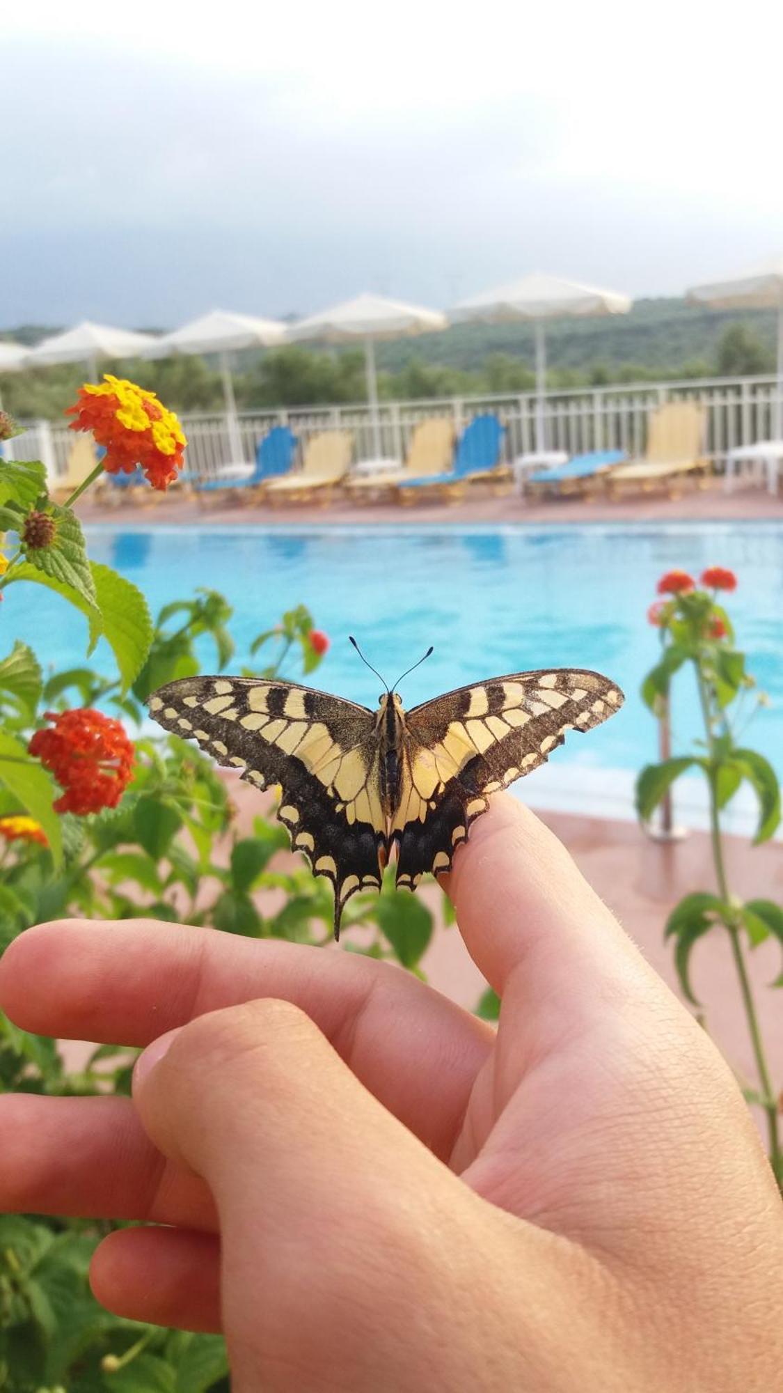 Calamon Apartments Episkopi-Chania Exteriér fotografie