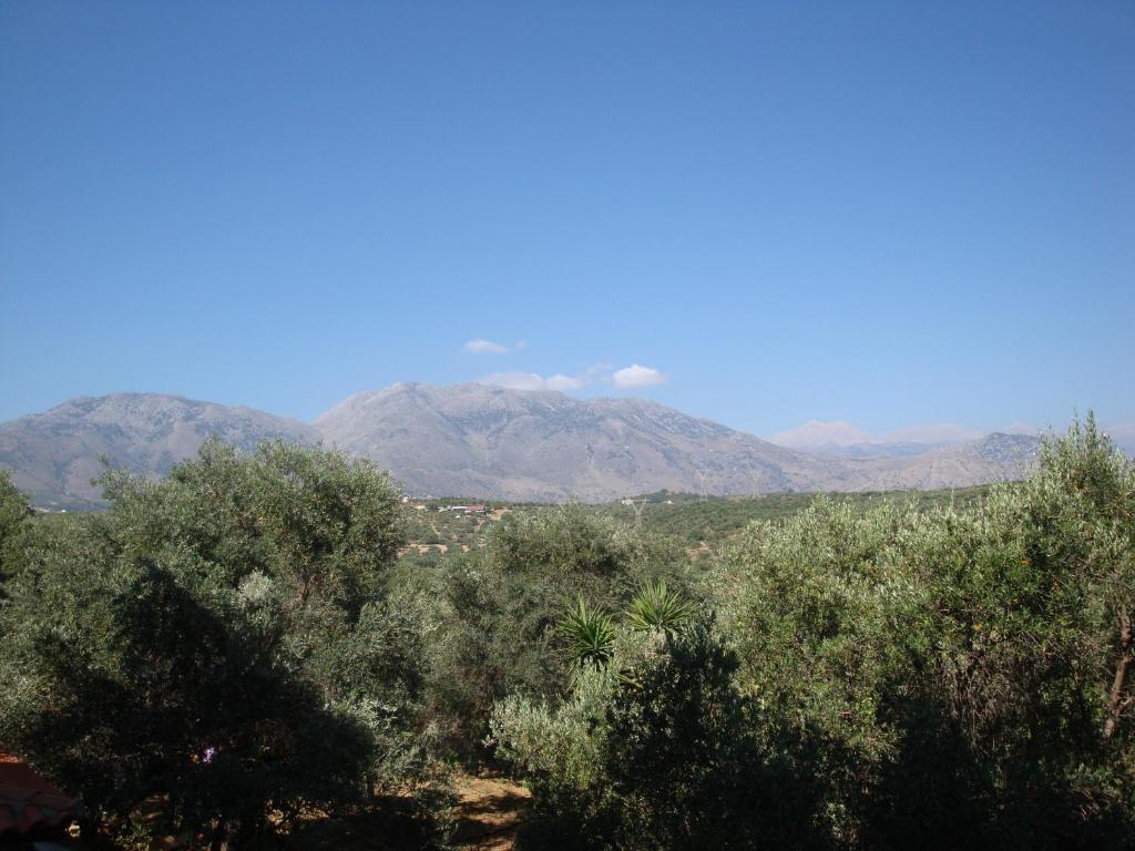 Calamon Apartments Episkopi-Chania Exteriér fotografie