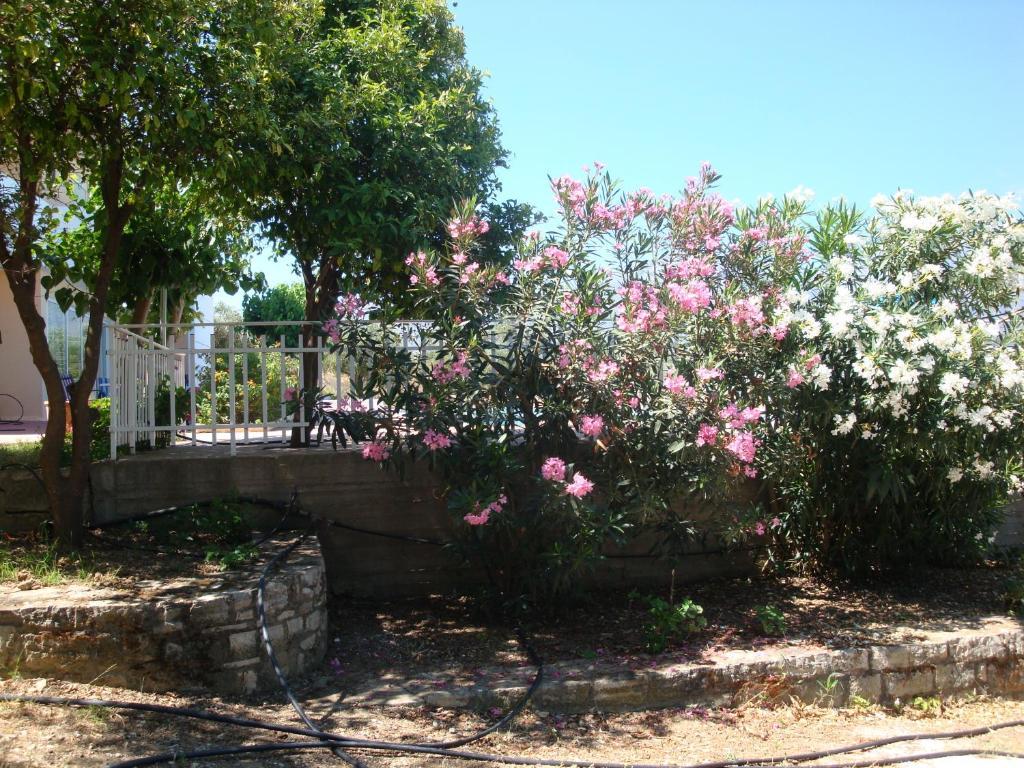 Calamon Apartments Episkopi-Chania Exteriér fotografie