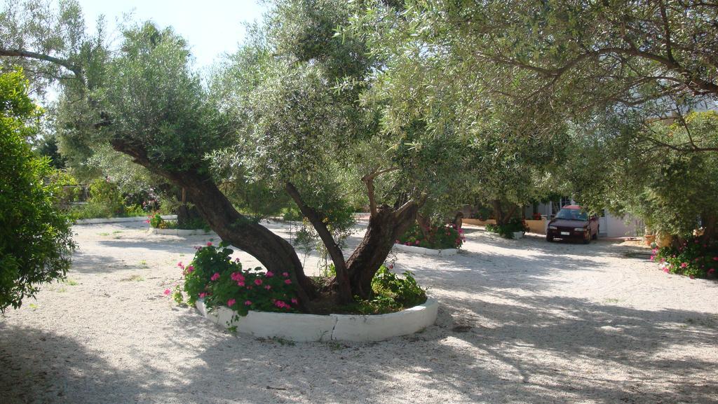 Calamon Apartments Episkopi-Chania Exteriér fotografie