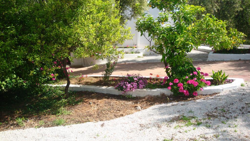 Calamon Apartments Episkopi-Chania Exteriér fotografie