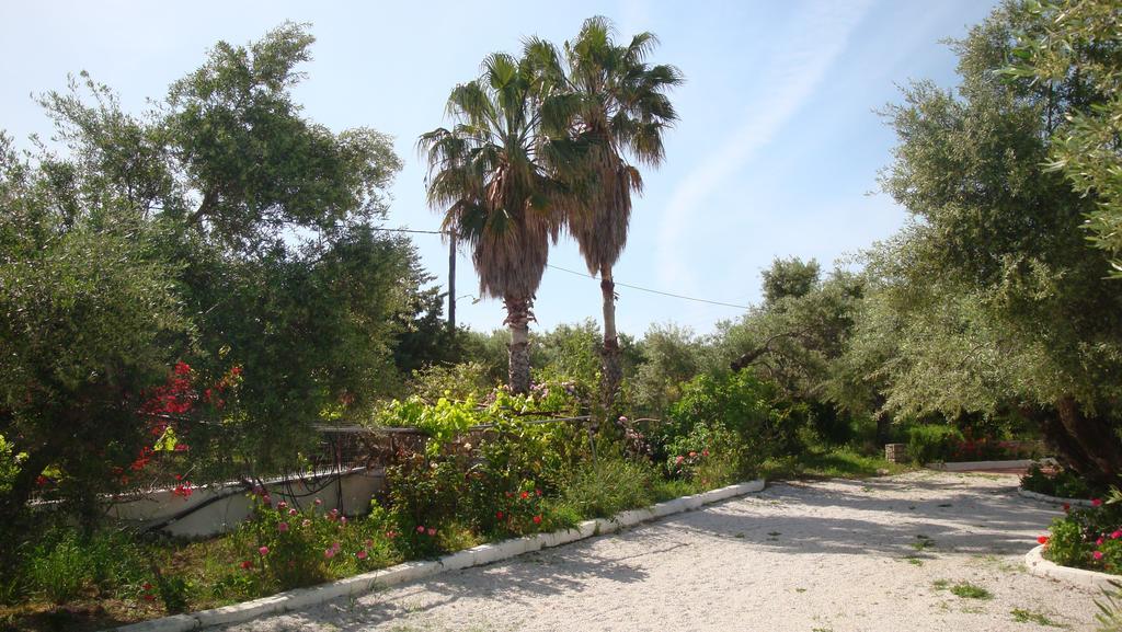 Calamon Apartments Episkopi-Chania Exteriér fotografie