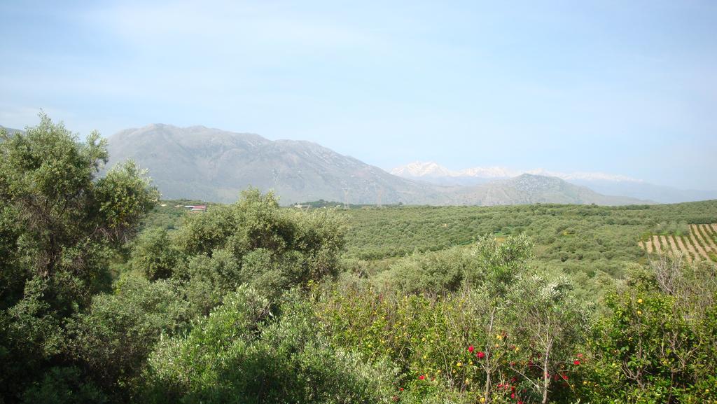 Calamon Apartments Episkopi-Chania Exteriér fotografie