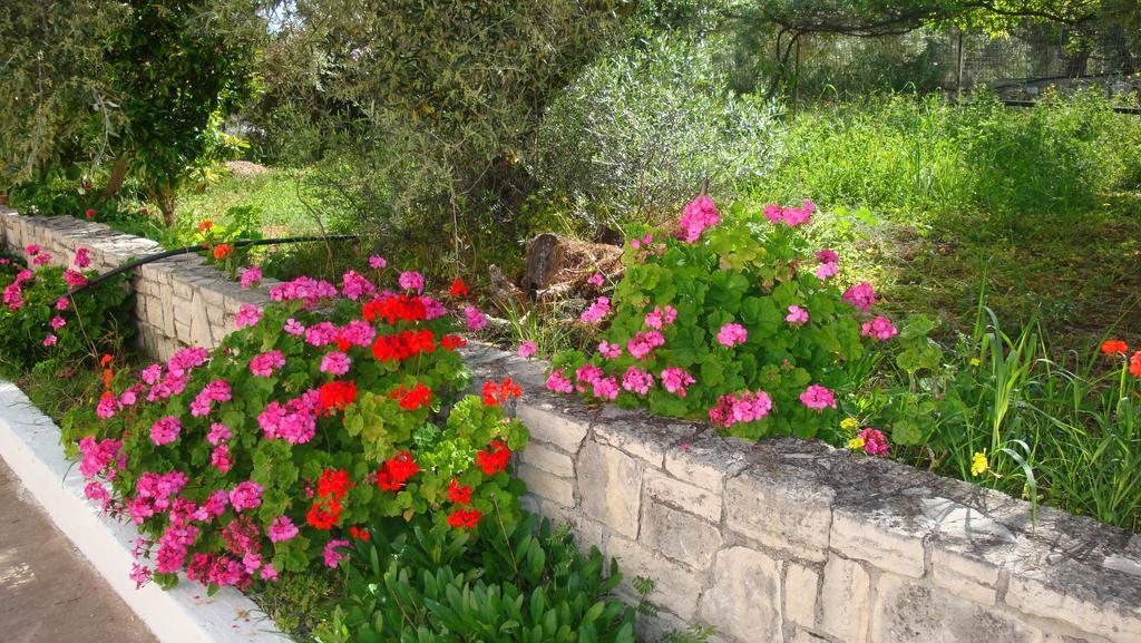Calamon Apartments Episkopi-Chania Exteriér fotografie
