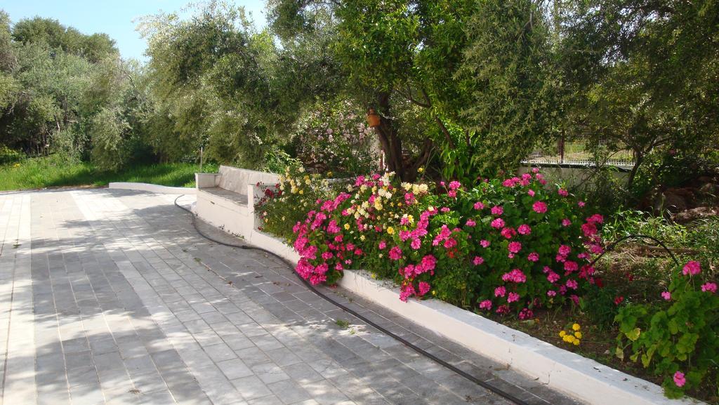 Calamon Apartments Episkopi-Chania Exteriér fotografie