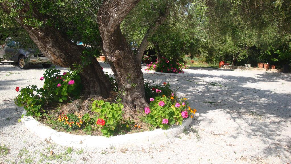 Calamon Apartments Episkopi-Chania Exteriér fotografie