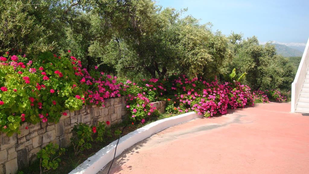 Calamon Apartments Episkopi-Chania Exteriér fotografie